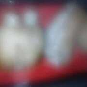 ヒメ日記 2025/12/14 22:35 投稿 るか 待ちナビ