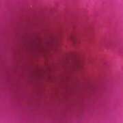 ヒメ日記 2026/01/14 09:36 投稿 るか 待ちナビ