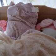 ヒメ日記 2026/01/25 11:55 投稿 るか 待ちナビ