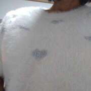 ヒメ日記 2026/02/09 09:05 投稿 るか 待ちナビ