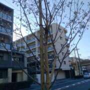 ヒメ日記 2026/03/22 16:48 投稿 るか 待ちナビ