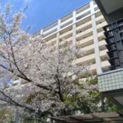 ヒメ日記 2026/04/06 12:44 投稿 るか 待ちナビ