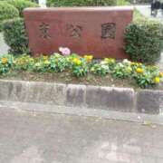 ヒメ日記 2026/04/15 12:05 投稿 るか 待ちナビ