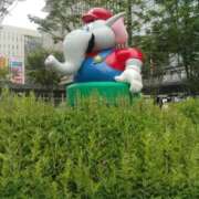 ヒメ日記 2026/06/15 03:25 投稿 るか 待ちナビ