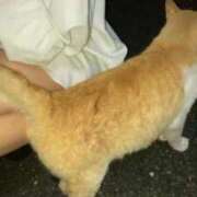 ヒメ日記 2025/07/21 09:25 投稿 りの 快楽夫人