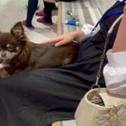 ヒメ日記 2025/10/05 13:43 投稿 りの 快楽夫人