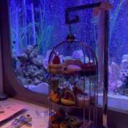 ヒメ日記 2025/05/07 16:56 投稿 SARA どこかのＯＬさん達