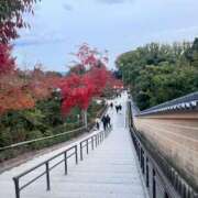 ヒメ日記 2025/05/08 23:40 投稿 SARA どこかのＯＬさん達