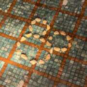 ヒメ日記 2025/05/15 11:41 投稿 SARA どこかのＯＬさん達