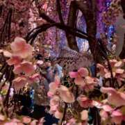 ヒメ日記 2025/09/05 11:43 投稿 SARA どこかのＯＬさん達