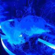 ヒメ日記 2025/09/08 23:34 投稿 SARA どこかのＯＬさん達