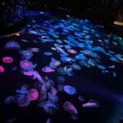 ヒメ日記 2025/09/25 23:49 投稿 SARA どこかのＯＬさん達