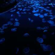 ヒメ日記 2025/10/21 18:31 投稿 SARA どこかのＯＬさん達