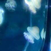 ヒメ日記 2025/11/12 16:01 投稿 SARA どこかのＯＬさん達