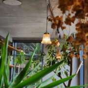 ヒメ日記 2025/08/15 22:30 投稿 SAKURA どこかのＯＬさん達