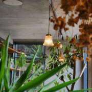 ヒメ日記 2025/09/09 22:45 投稿 SAKURA どこかのＯＬさん達