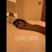 ヒメ日記 2026/05/10 12:34 投稿 SAKURA どこかのＯＬさん達