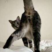 ヒメ日記 2025/07/13 18:04 投稿 【女帝】式神れいら様 Eternity～若妻の悪戯～（エタニティー）