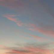 ヒメ日記 2025/07/20 20:04 投稿 本間尚子 五十路マダム東広島店(カサブランカグループ)