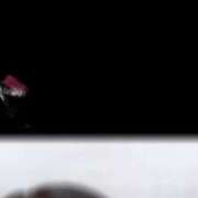 ヒメ日記 2025/05/21 17:09 投稿 ふわり ウルトラドリーム