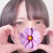 ヒメ日記 2025/07/08 07:09 投稿 ふわり ウルトラドリーム