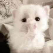 ヒメ日記 2025/08/06 16:00 投稿 ここ LOVEキタ兎我野店