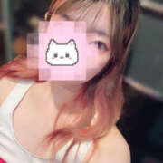 ヒメ日記 2025/07/29 18:06 投稿 ことり ビアガーデンカーニバル