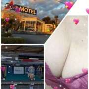 ヒメ日記 2025/12/19 12:41 投稿 藤井せいこ奥様 サンキュー沼津店（サンキューグループ）