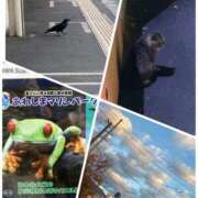 ヒメ日記 2025/12/19 20:31 投稿 藤井せいこ奥様 サンキュー沼津店（サンキューグループ）