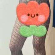 ヒメ日記 2025/12/29 17:10 投稿 藤井せいこ奥様 サンキュー沼津店（サンキューグループ）