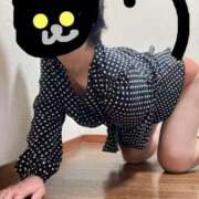 ヒメ日記 2026/01/03 03:06 投稿 藤井せいこ奥様 サンキュー沼津店（サンキューグループ）