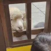 ヒメ日記 2026/01/07 20:09 投稿 藤井せいこ奥様 サンキュー沼津店（サンキューグループ）