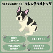 ヒメ日記 2026/03/18 16:25 投稿 しおり Vitamin〜ビタミン〜