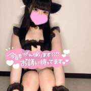 ヒメ日記 2025/07/31 09:51 投稿 あくび（極上SPコース対応） LIGHT（ライト）～光が導く無限の可能性～