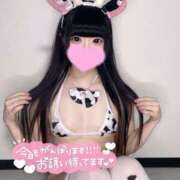 ヒメ日記 2025/08/17 12:21 投稿 あくび（極上SPコース対応） LIGHT（ライト）～光が導く無限の可能性～