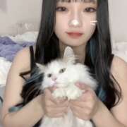 れいか【甘くてエロい罠】 久々に群馬きたよー☺️ どMばすたーず 群馬 高崎店