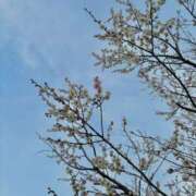 ヒメ日記 2025/05/09 15:34 投稿 黒木杏奈 札幌ソフィア