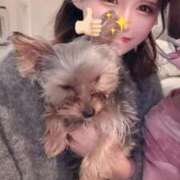 ヒメ日記 2025/11/07 09:30 投稿 せいか ジュリアングループ三多摩店