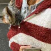 ヒメ日記 2025/12/04 21:01 投稿 せいか ジュリアングループ三多摩店