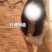 ヒメ日記 2025/11/20 20:44 投稿 本田ゆきえ アラフォーna奥様 アラフィフna奥様（埼玉ハレ系）