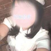 ヒメ日記 2025/12/20 23:46 投稿 本田ゆきえ アラフォーna奥様 アラフィフna奥様（埼玉ハレ系）