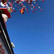 ヒメ日記 2025/12/31 23:31 投稿 本田ゆきえ アラフォーna奥様 アラフィフna奥様（埼玉ハレ系）