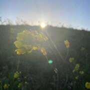 ヒメ日記 2026/03/08 19:42 投稿 本田ゆきえ アラフォーna奥様 アラフィフna奥様（埼玉ハレ系）