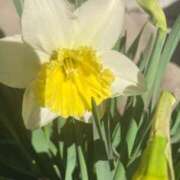 ヒメ日記 2026/03/14 09:35 投稿 本田ゆきえ アラフォーna奥様 アラフィフna奥様（埼玉ハレ系）