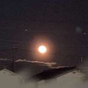 本田ゆきえ 見れたよ アラフォーna奥様 アラフィフna奥様（埼玉ハレ系）