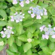 ヒメ日記 2025/06/08 14:40 投稿 月島ゆい セカンドパートナー