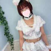 ヒメ日記 2025/10/05 11:37 投稿 つき 神田ハンドメイド