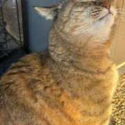 ヒメ日記 2026/02/05 09:45 投稿 さきの 奥様の実話 谷九店