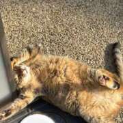 ヒメ日記 2026/02/06 09:45 投稿 さきの 奥様の実話 谷九店