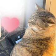 ヒメ日記 2026/02/09 09:45 投稿 さきの 奥様の実話 谷九店